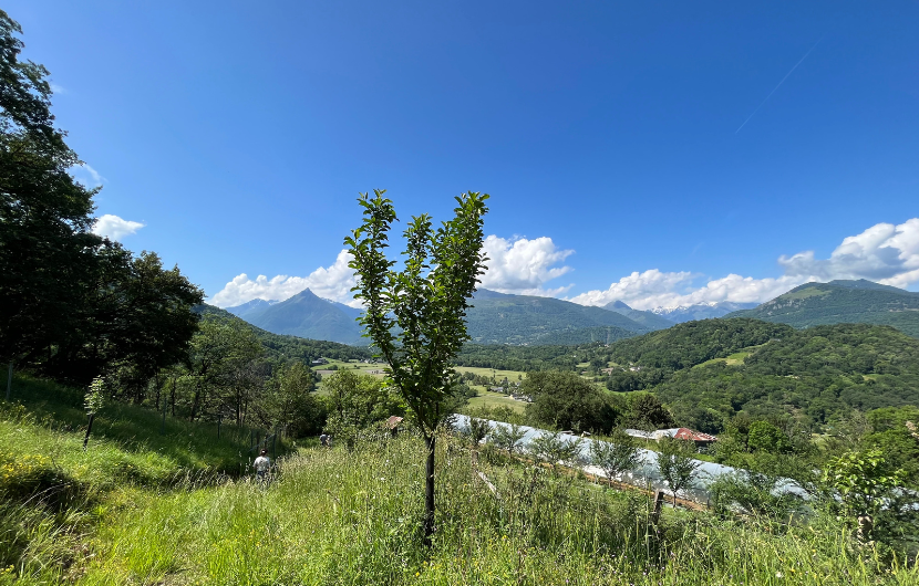 Maraîchage, Ferme du Sarrat © CDC Biodiversité