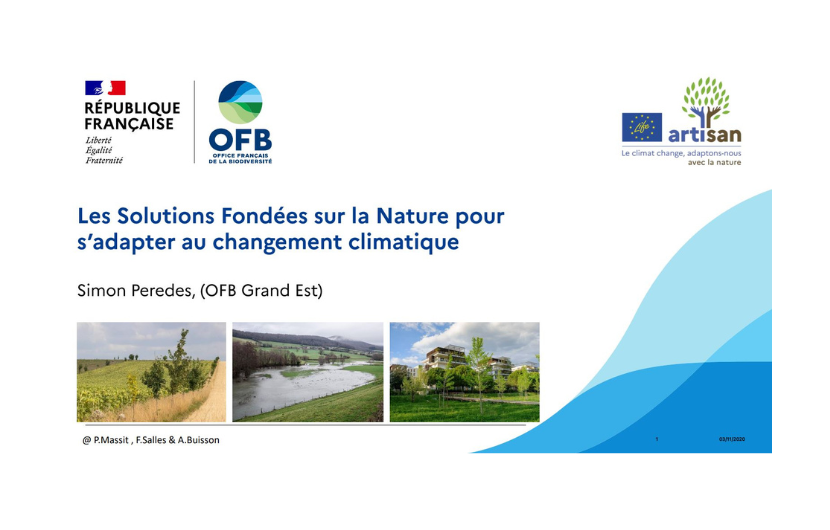 Webinaire de l’OFB Grand Est sur les SFN le 28 juin 2023