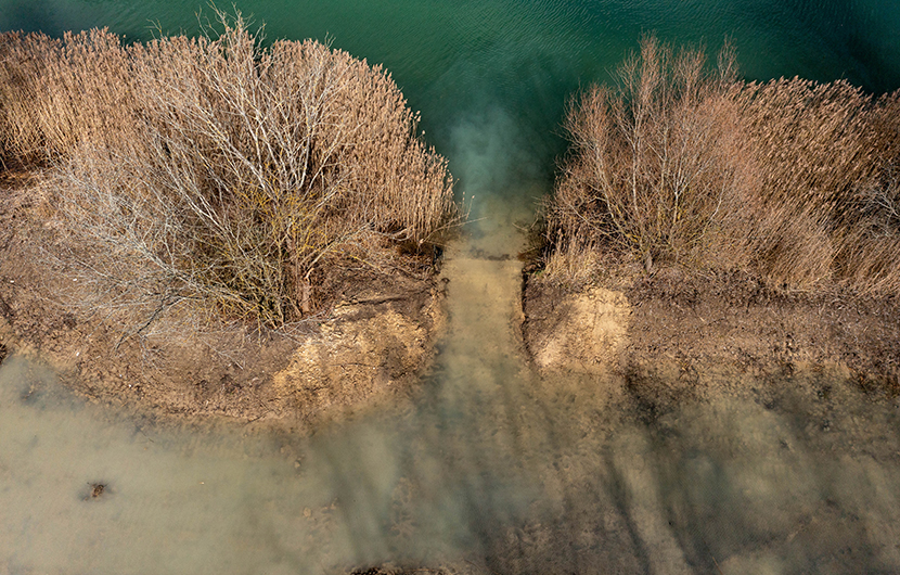 Vaires 1-Reboisement ©CDC Biodiversité