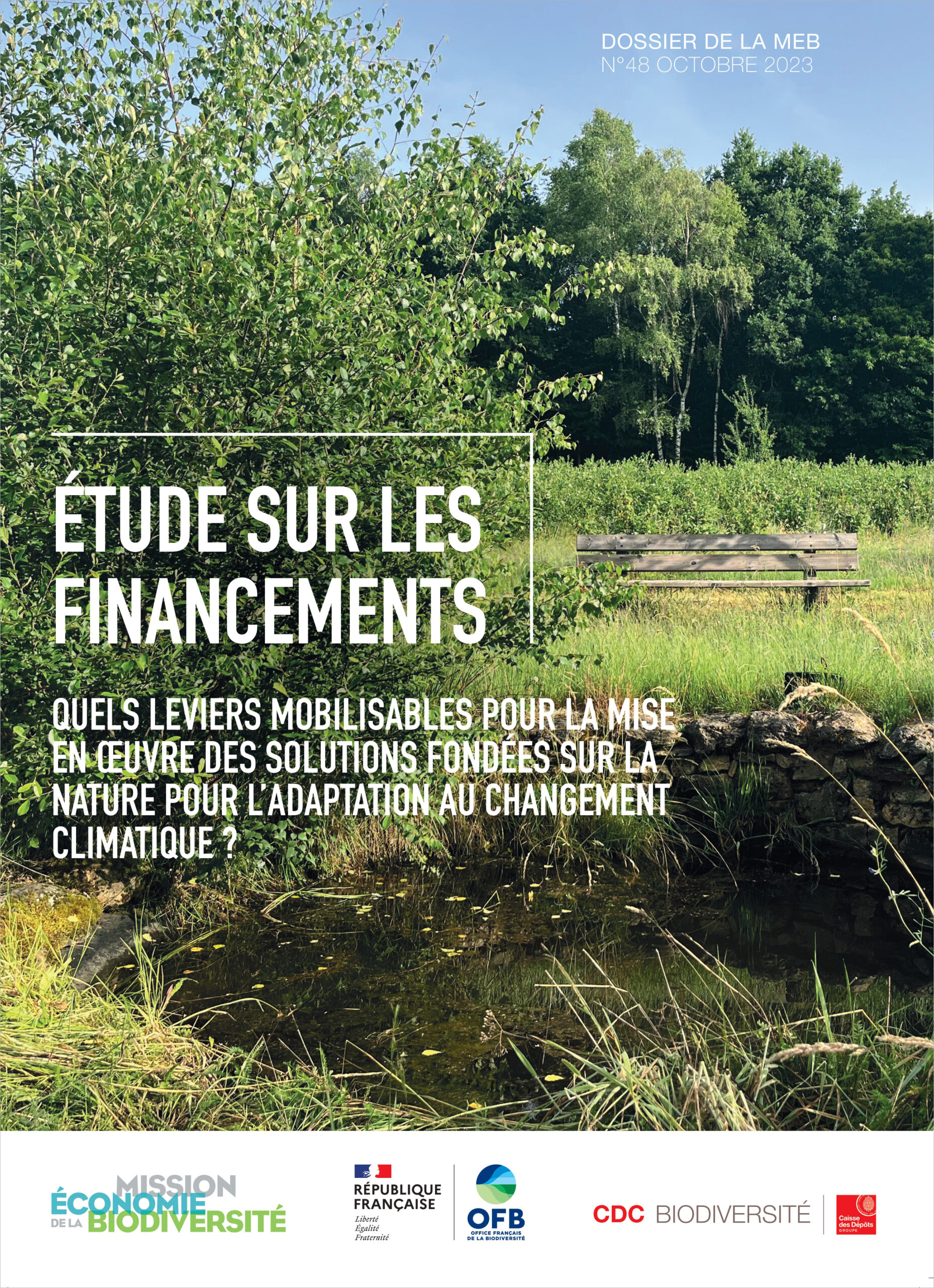 Étude sur les financements : quels leviers mobilisables pour la mise en oeuvre des solutions fondées sur la nature pour l’adaptation au changement climatique ?