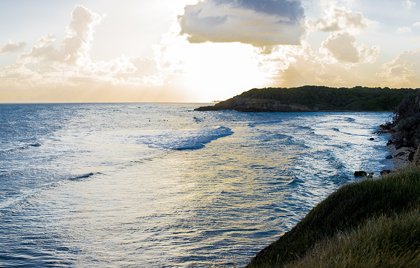 Plages et Falaises de Sainte-Anne © Commune de Sainte-Anne