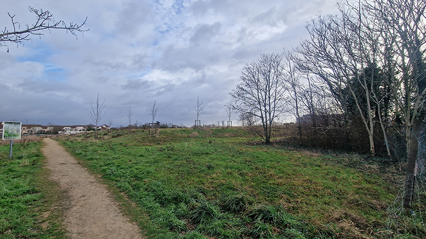 Parc de l'arbre de Montesson (c) Mairie de Montesson