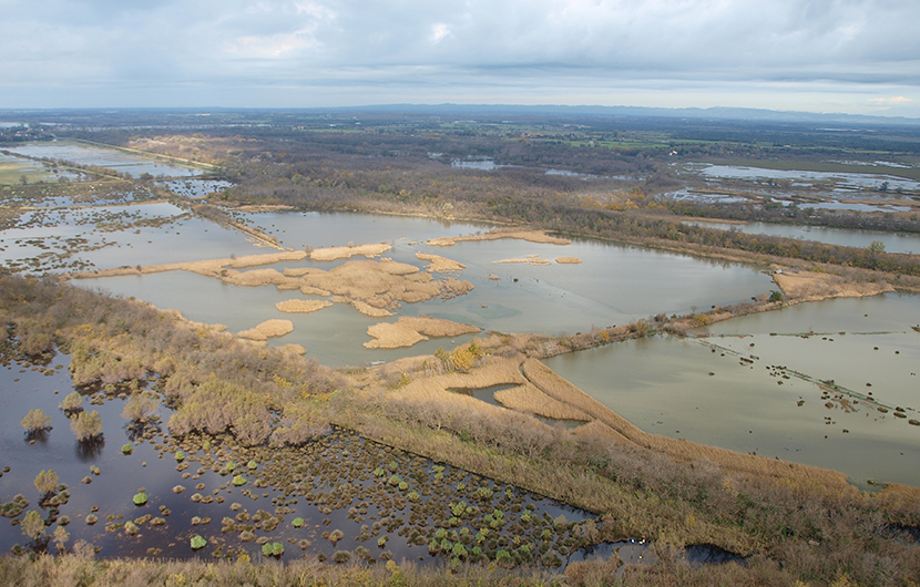 81. Marais du Vigueirat © JLL-AMV 1