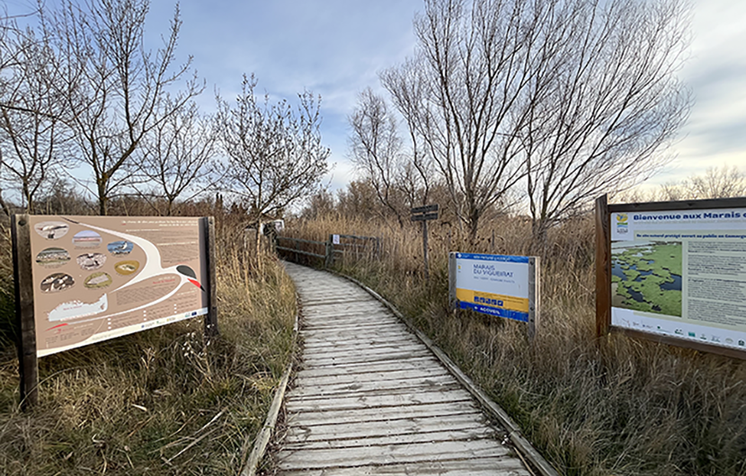 Marais du Vigueirat ©Fonds Nature 2050