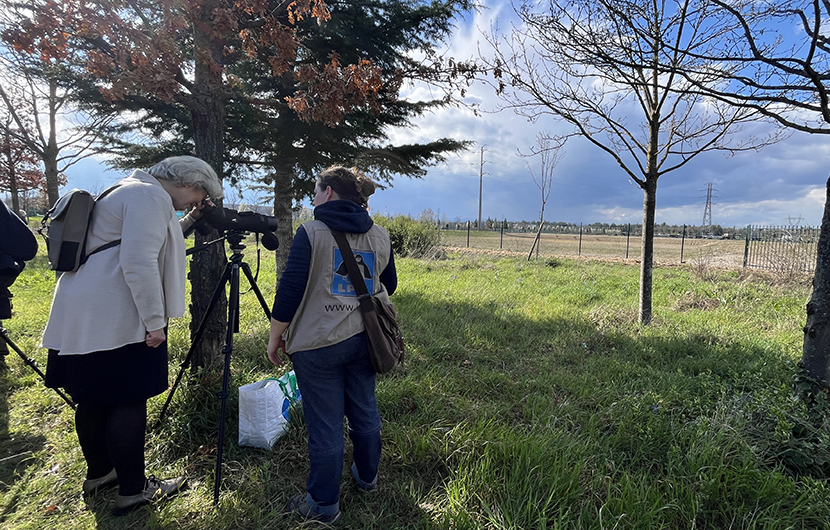 Observation des oedicnèmes criards à la longue-vue © Fonds Nature 2050