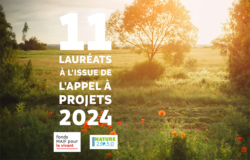 Visuel_Réseaux sociaux_Lauréats AAP 2024 recadrée