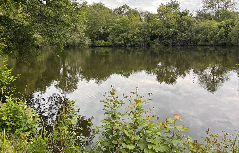 Etang arboretum ©Fonds Nature 2050
