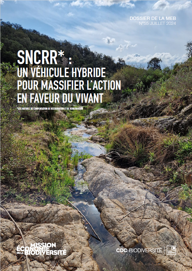 SNCRR : un véhicule hybride pour massifier l’action en faveur du vivant