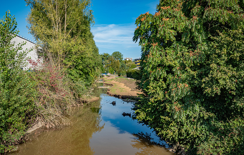 Débétonisation et reméandrage du canal de Loëze (après) ©Reyssouze et Affluents