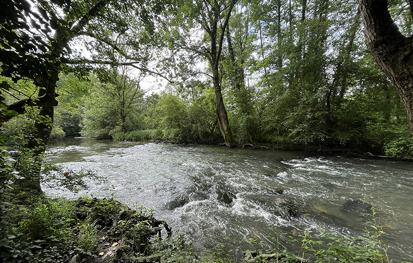 Au fil de l'Auxance ©Fonds Nature 2050