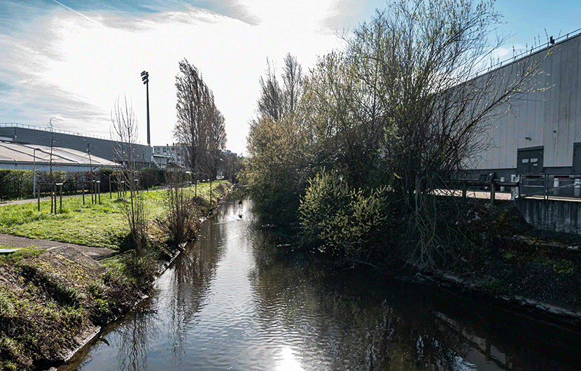 Canal-de-Loëze-avant-travaux-©Reyssouze-et-Affluents