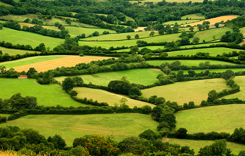 Webinaire | AgriBEST®, un outil pour favoriser la prise en compte de la biodiversité dans les pratiques agricoles
