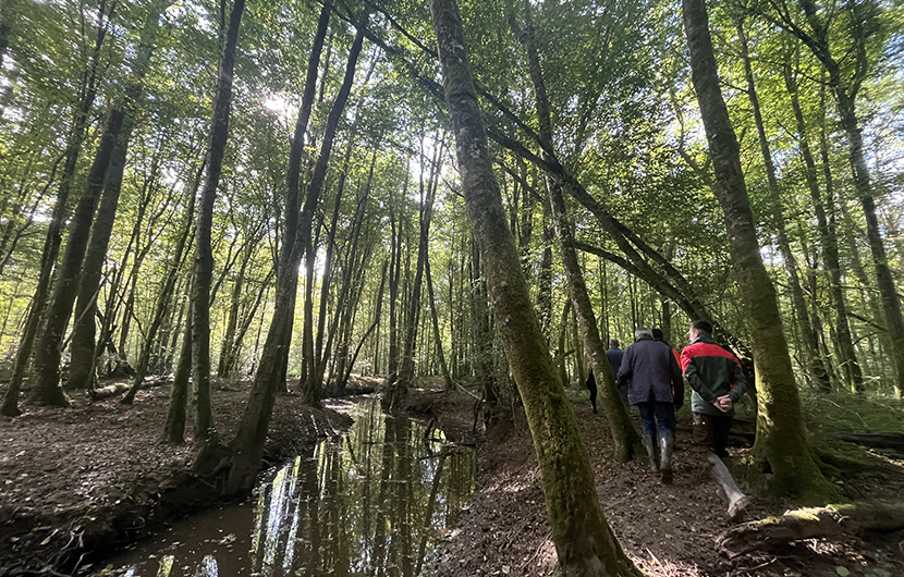 Presbytère de Saint-Martin de Noët, 2020 ©Leticia COLLADO, CDC Biodiversité