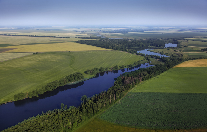 Webinaire | Les récentes initiatives pour le secteur Food & Agriculture