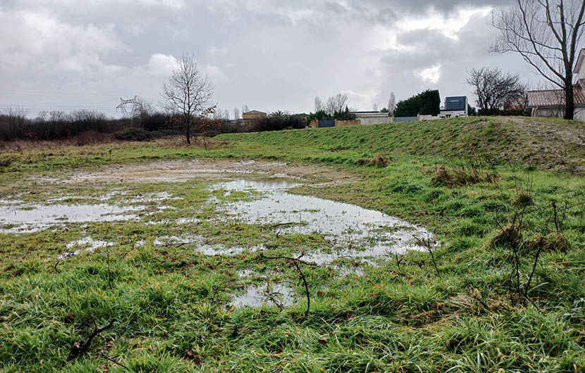 3 - Zone Humides 3 mois après les travaux (Janvier 2025)