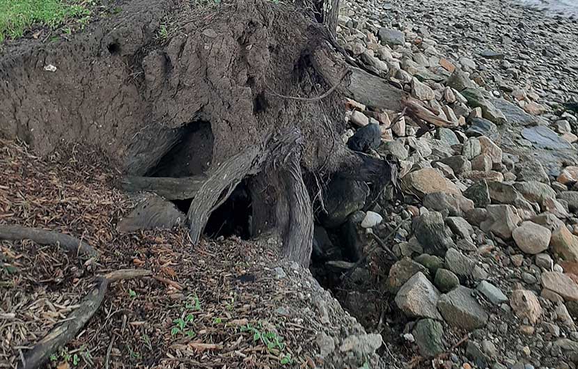 Erosion sur l'île d'Arz, 2019 © CDC Biodiversité