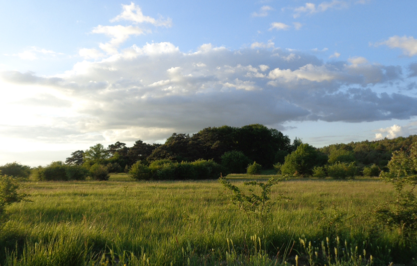 Pelouses du Camp de Sissonne