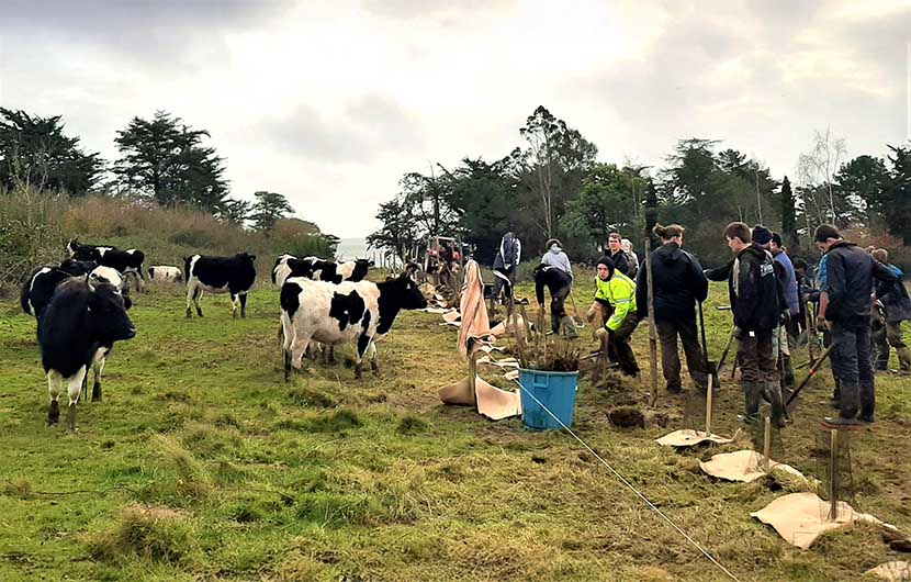 Plantations participatives, 2019 © CDC Biodiversité