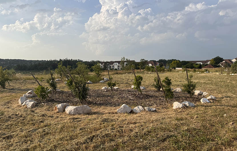 Vue générale, centre du parc - Montesson © Aloïs CLINTON, Nature 2050