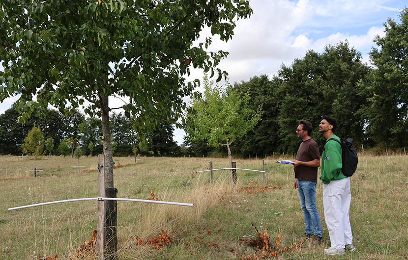 Adrien Pire et Aloïs Clinton, plantations intraparcellaires © CDC Biodiversité