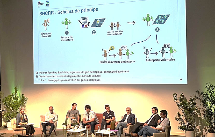 Jour 1 - Intervention SNCRR VIPE ©CDC Biodiversité