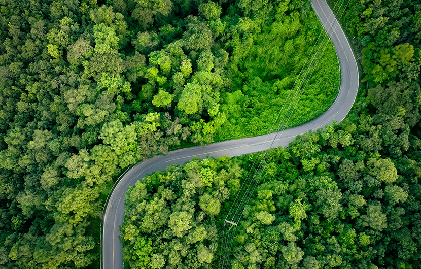 GBS-Études-de-cas-Route_en_forêt © shutterstock_2483645247