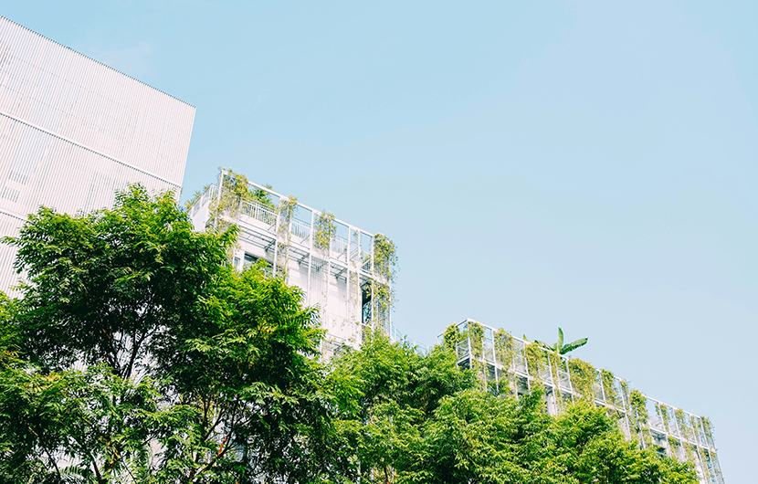 Bâtiment végétalisé et arbres, 2019 ©Adrien_Olichon