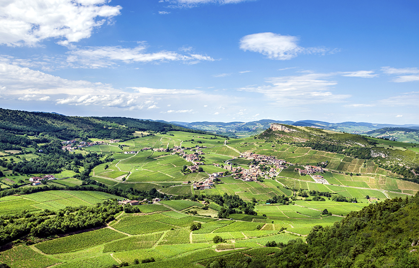 Territoires, 2015 ©Anže Mulec.jpg
