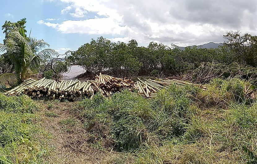 Installation des poteaux – baie de Morari © Conservation International