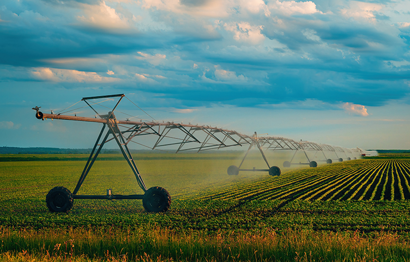 Agri-shutterstock_2473386393<br />
