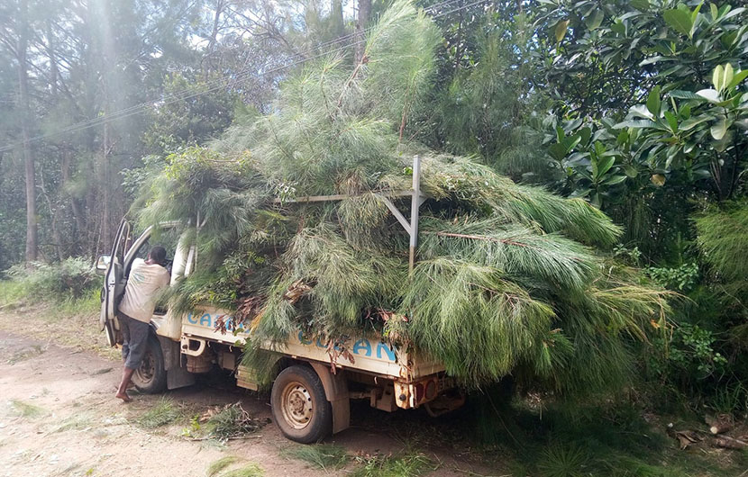Transport de branches pour l’installation des pièges à sédiments © Conservation International