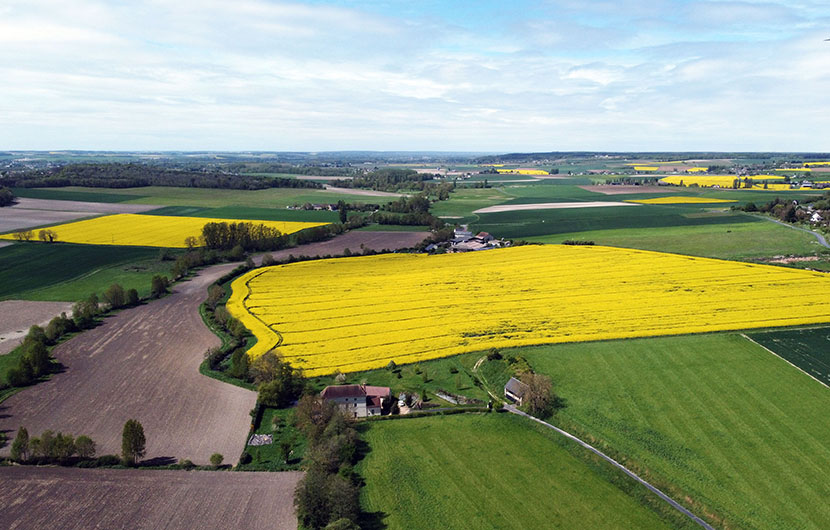 Vue-aerienne-de-la-Manse-Faucon-©SRVV.