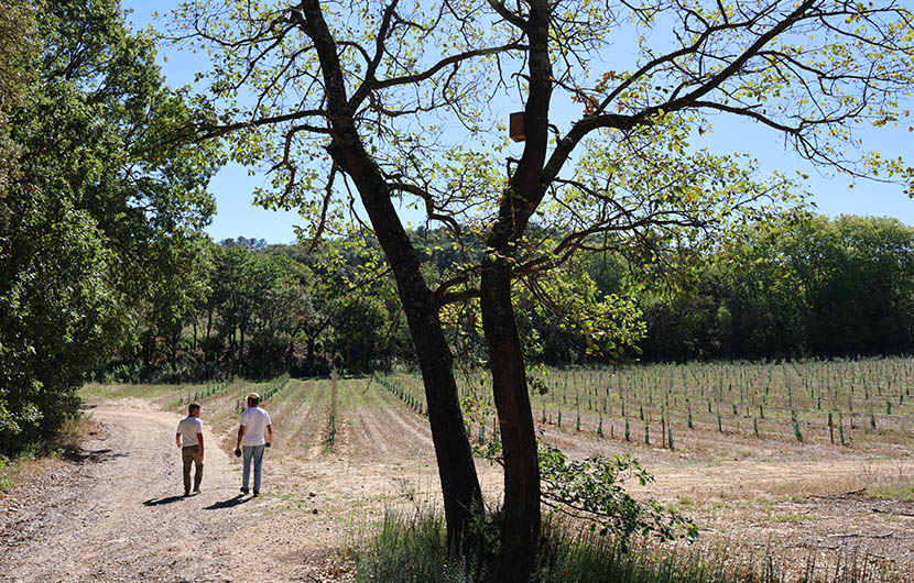 Vue d'ensemble visite © Julie Tourron, Nature 2050