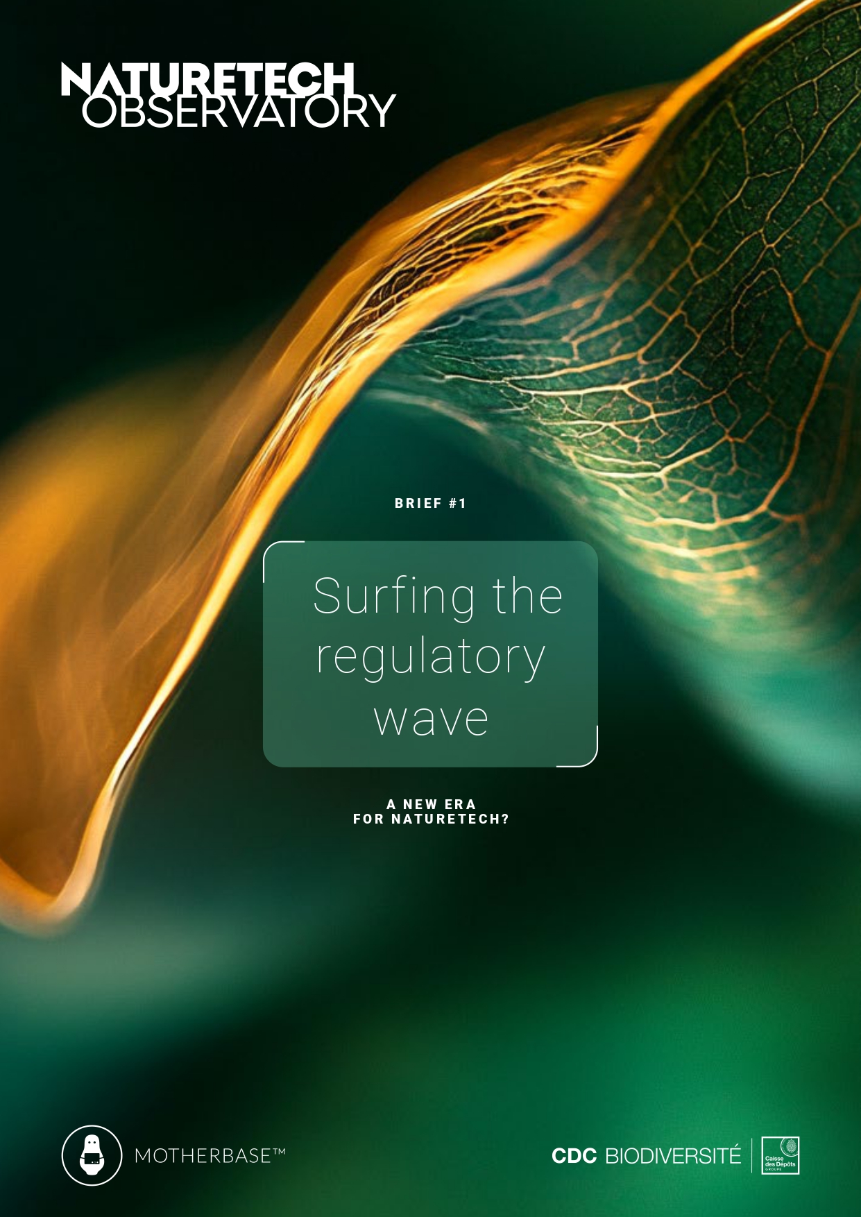 Couverture (1) Nature et richesses des nations