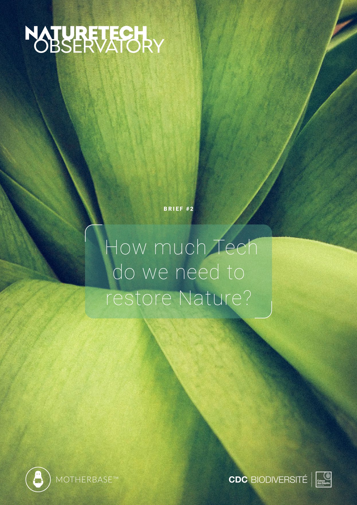 Couverture_Brief2 (1) Nature et richesses des nations