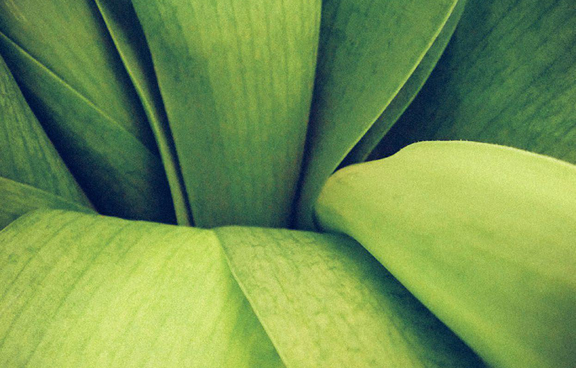 Visuel couverture_Brief2