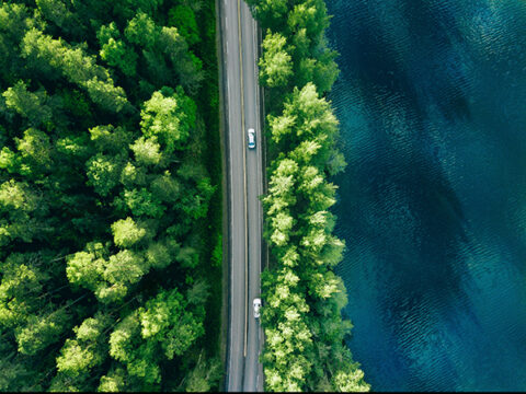 What’s the GBS? | CDC Biodiversité