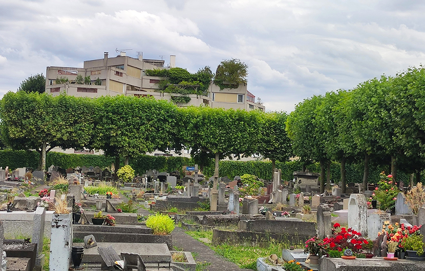 Cimetière d_Aubervilliers avant travaux © Commune d’Aubervilliers Cimetière d_Aubervilliers avant travaux © Commune d’Aubervilliers