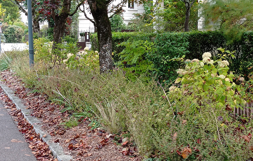 Rues végétalisées à Sceaux © Commune de Sceaux Rues végétalisées à Sceaux © Commune de Sceaux