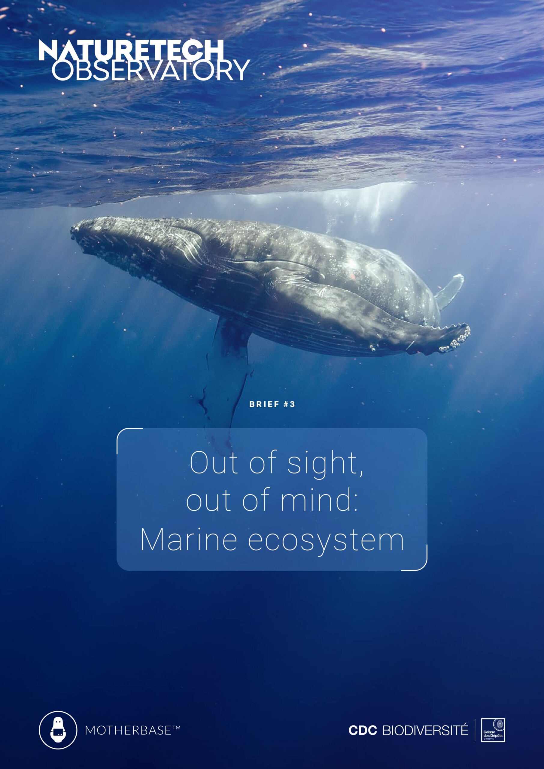 NATURETECH BRIEF#3 - MD-1_page-0001 Nature et richesses des nations