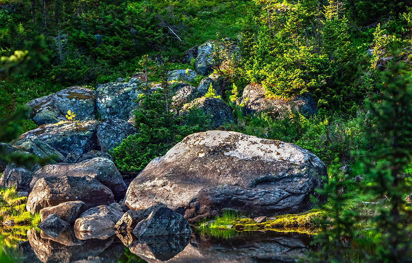 Site Web – Photo de couverture