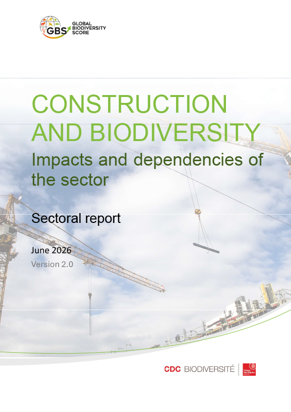 20260601_Sectoral report_Construction-1