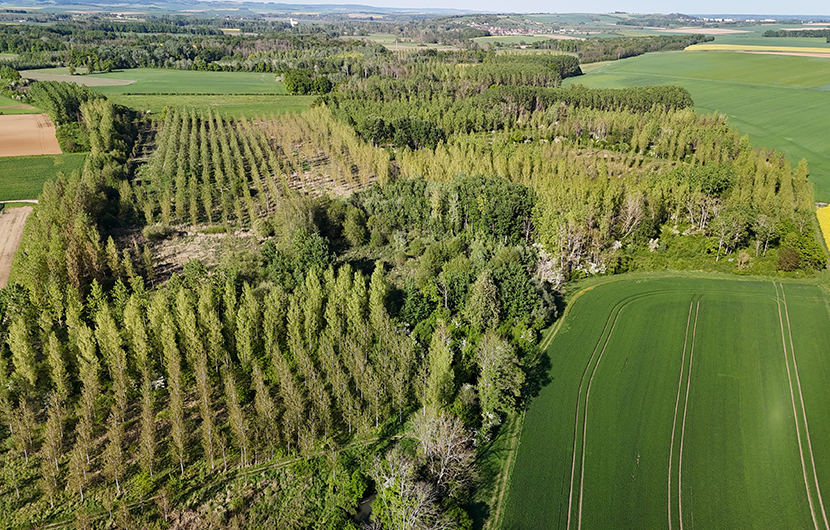 Vallée du Créanton © EPAGE de l’Armançon Vallée du Créanton © EPAGE de l’Armançon