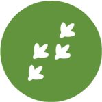 Continuites-ecologiques Biodiversité Urbaine